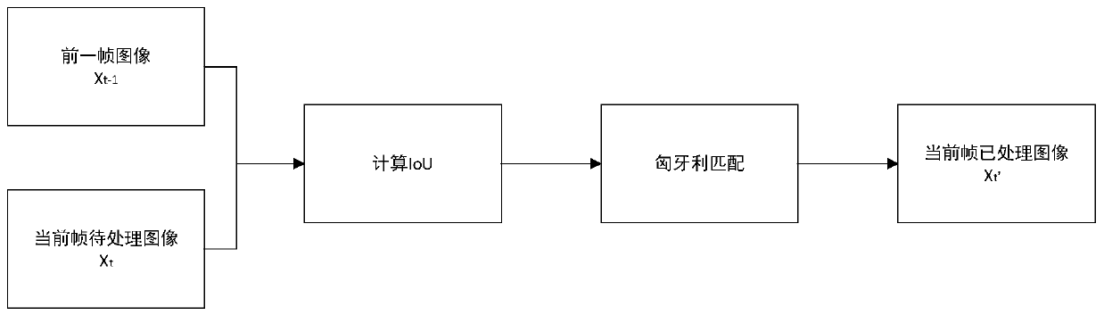 Cockroach mating behavior analysis method and system, and storage medium