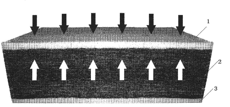 Polyester fiber coconut fiber plate and preparation method thereof