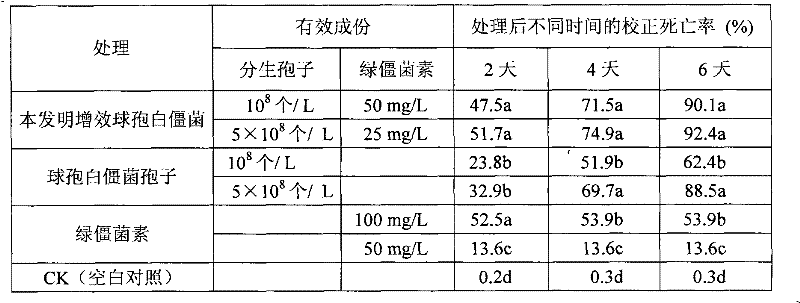 Compounding pesticide containing Beauveria bassiana and destruxins of Metarrhizium anisopliae and preparation method thereof