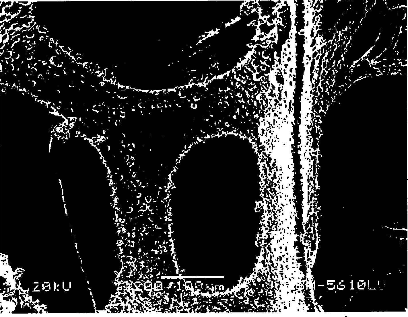 Foam nickel, and method for fabricating the foam nickel, and battery of using the foam nickel