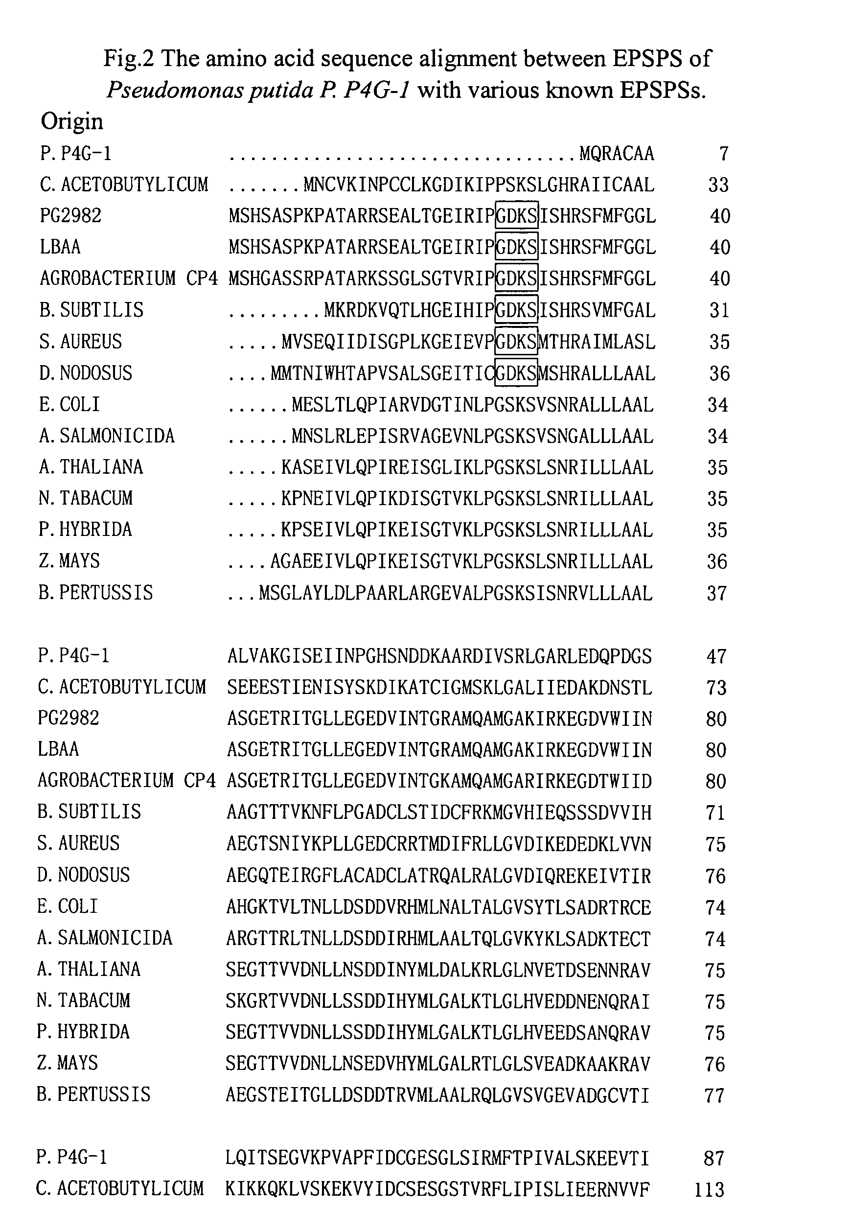 Glyphosate-tolerant 5-enolpyruvylshikimate-3-phosphate synthase and the gene encoding the same