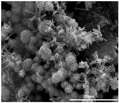 Method for preparing GO-CdS-ZnO-porous silicon composite photocatalyst