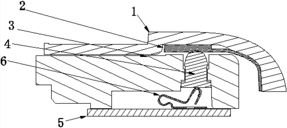 Contact type connected electronic equipment