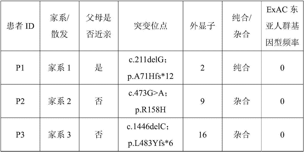 Novel azoospermia pathogenic gene and application thereof