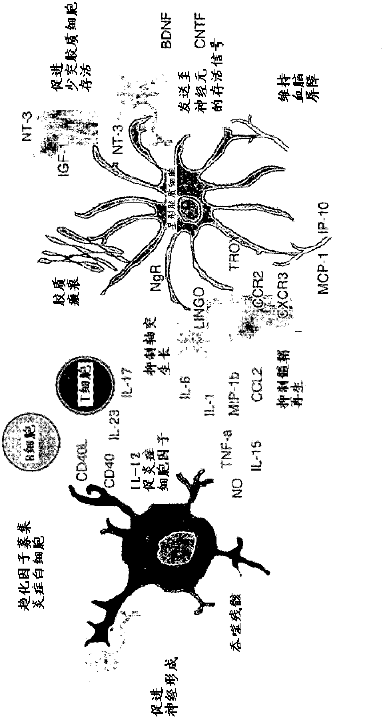 Treatment of neurodegeneration and neuroinflammation