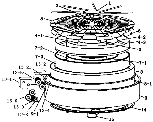 Biomass burner and use method