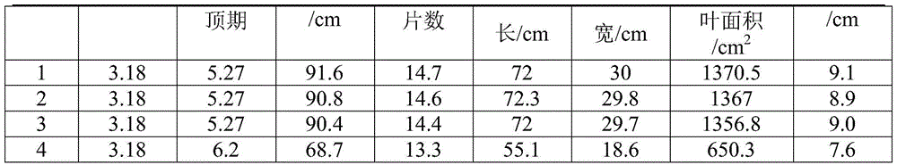 A kind of biological organic fertilizer and its application in tobacco cultivation