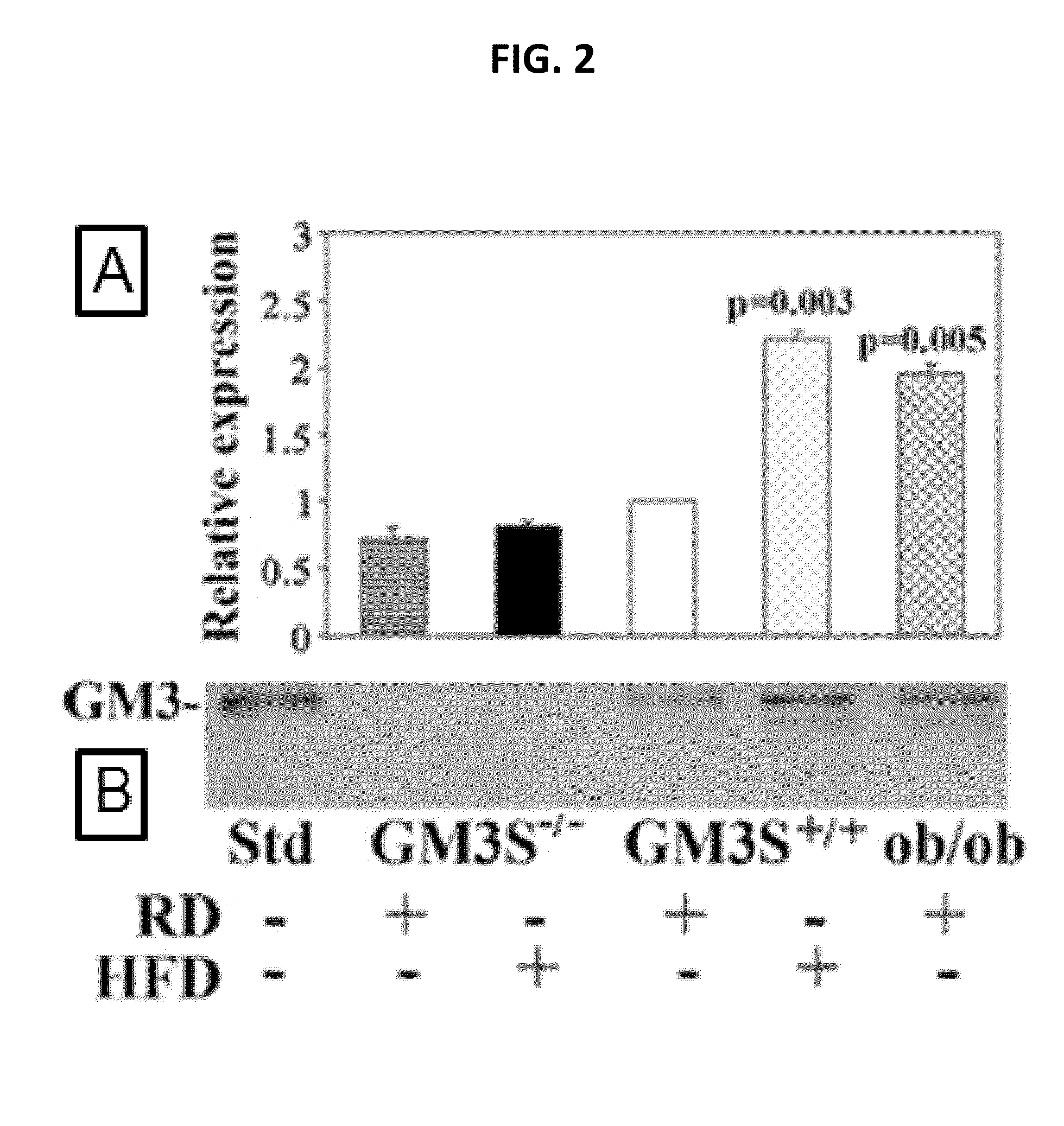 Promotion of wound healing