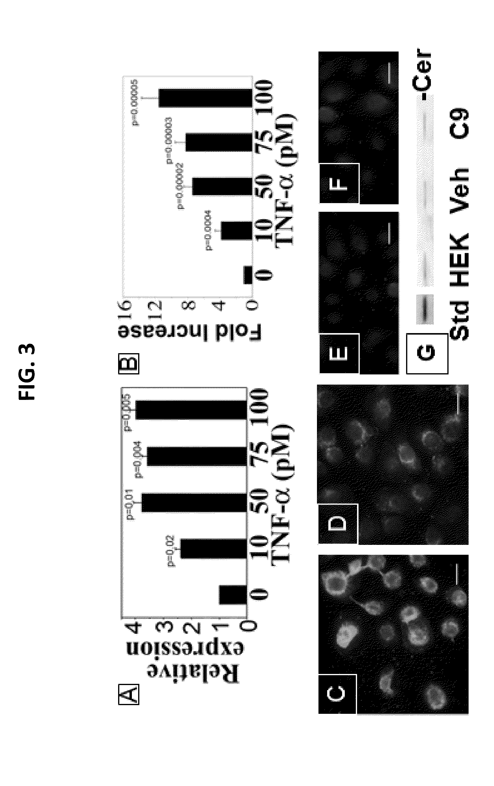 Promotion of wound healing