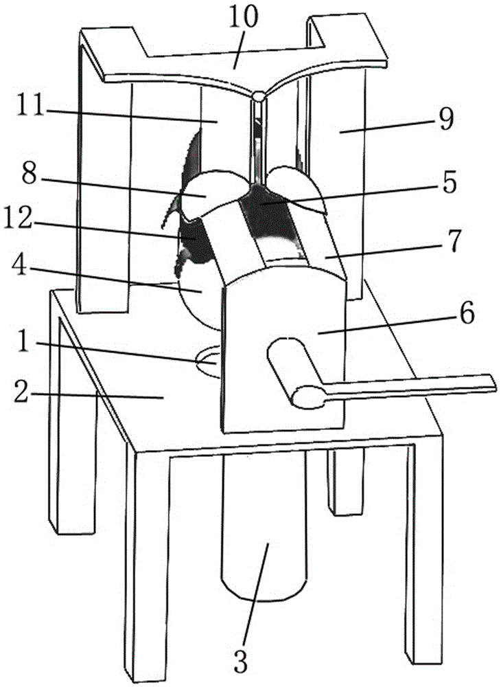 Mask eye card assembly machine