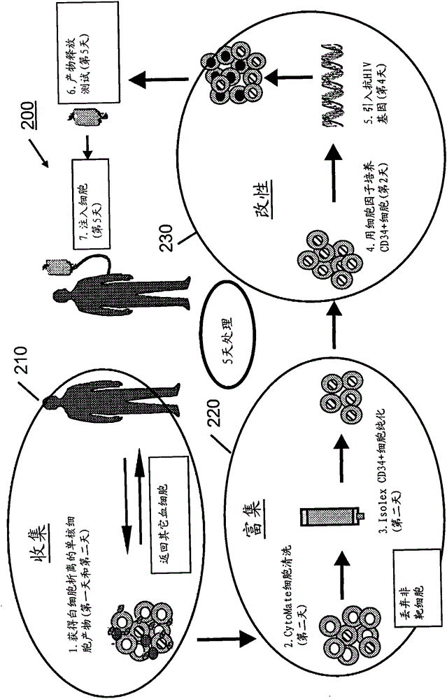 process blood