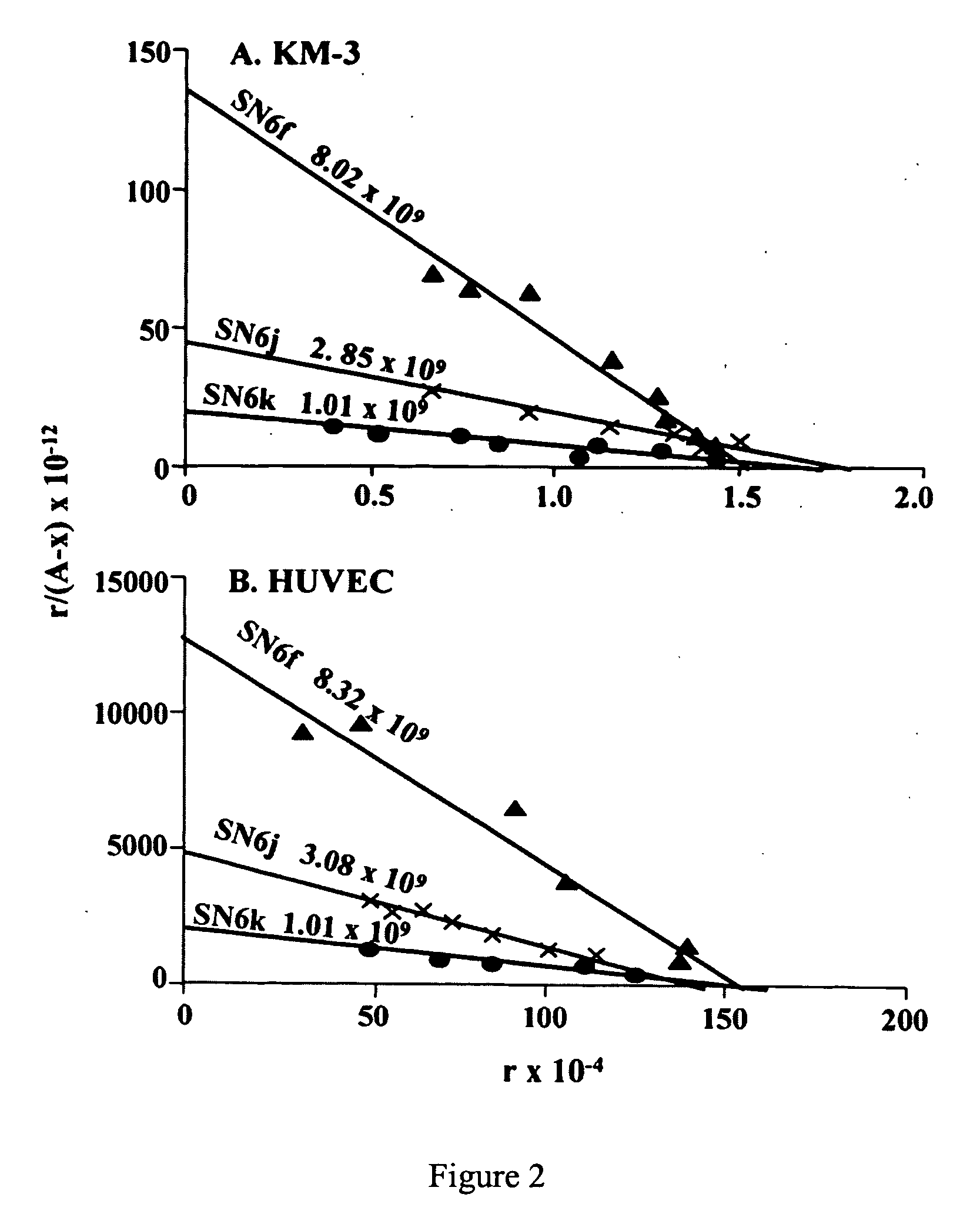 Method for increasing the efficacy of anti-tumor agents by anti-endoglin antibody