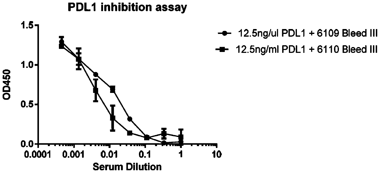 Humanized PD-L1 monoclonal antibody and preparation method application thereof