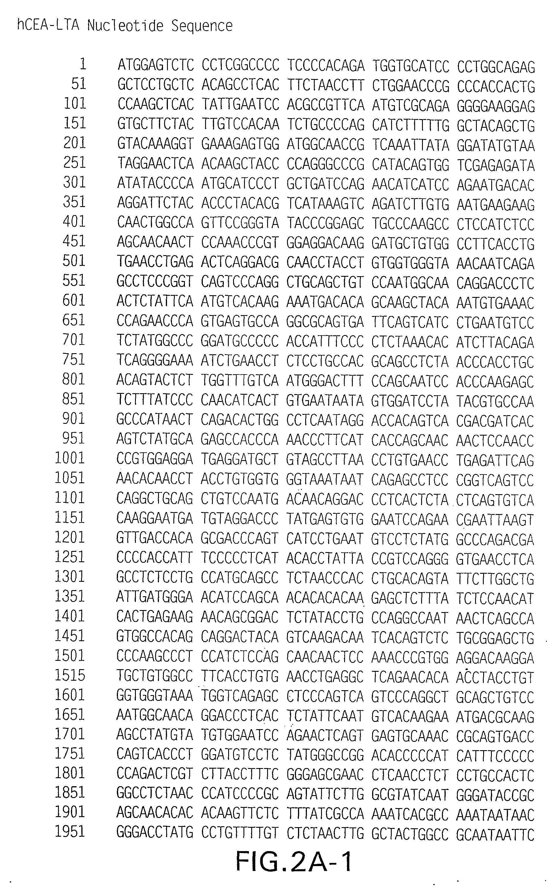 Carcinoembryonic Antigen Fusions and Uses Thereof