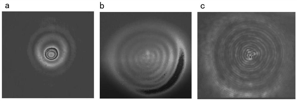 A method for detecting microplastic concentration using near-infrared 1550nm laser