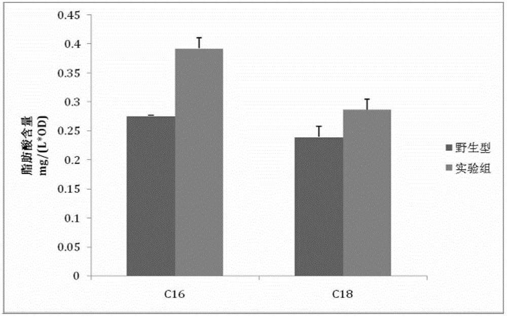 A system and its construction method for Escherichia coli to efficiently produce fatty acids