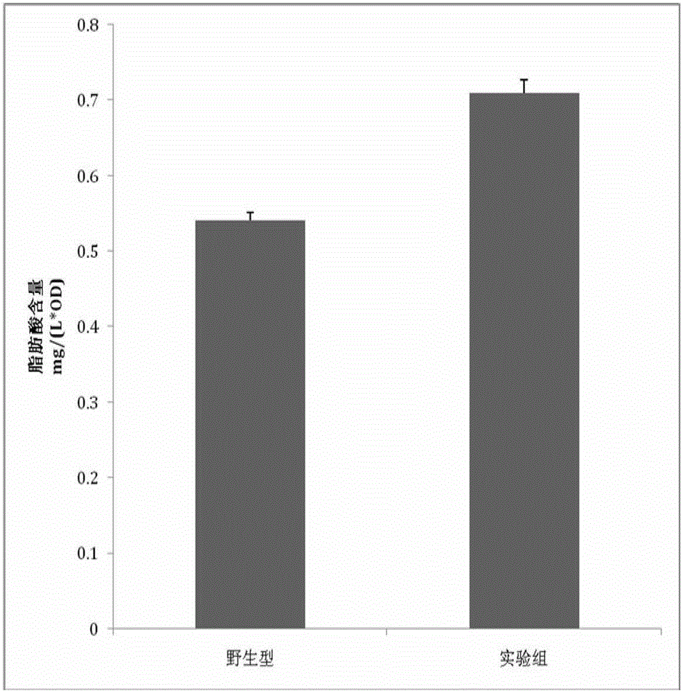 A system and its construction method for Escherichia coli to efficiently produce fatty acids