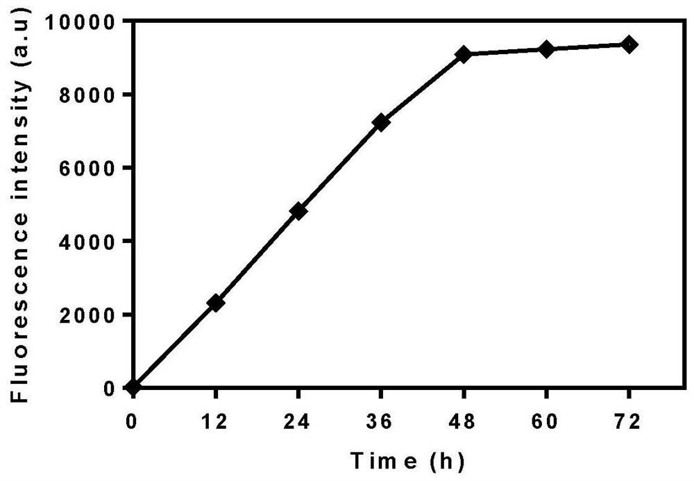 Arsenic Fluorescent Quantum Dots, Preparation Method and Application thereof