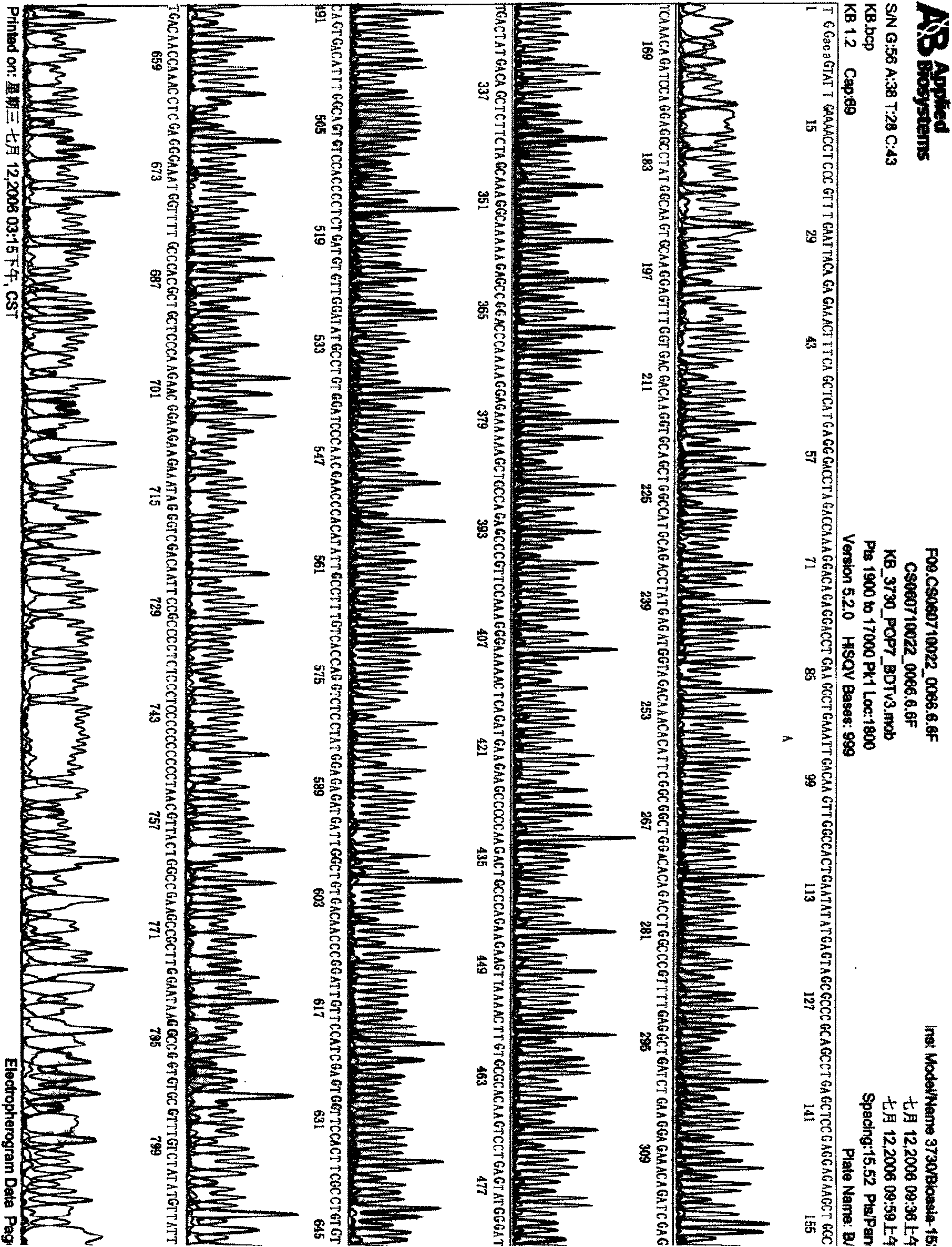 ING4 and IL-24 dual gene co-expression vector and application thereof