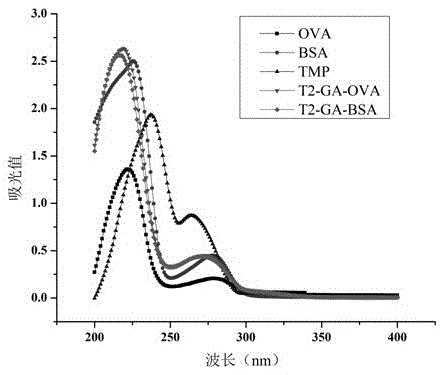 Method and application for preparing complete antigen from trimethoprim hapten t2