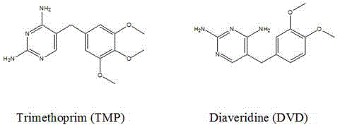 Method and application for preparing complete antigen from trimethoprim hapten t2