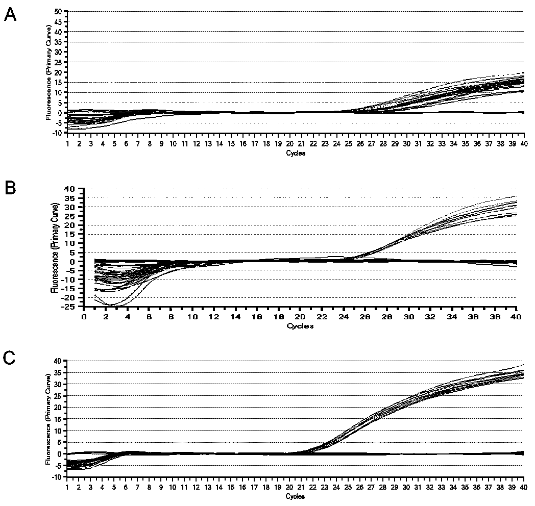 A set of real-time fluorescent quantitative PCR primers and probes and their kits for the identification of three species of short-bodied nematodes on sugarcane