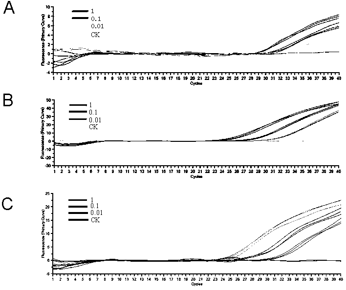 A set of real-time fluorescent quantitative PCR primers and probes and their kits for the identification of three species of short-bodied nematodes on sugarcane