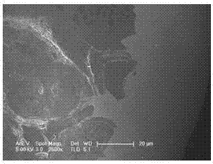 Method for electrodepositing iron-nickel alloy plating on surface of carbon-based material