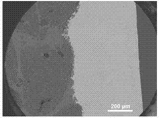 Method for electrodepositing iron-nickel alloy plating on surface of carbon-based material