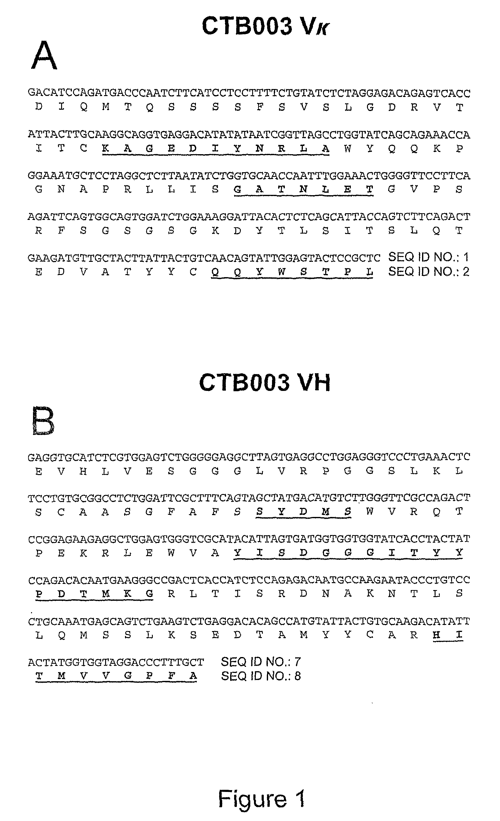 Trail receptor-binding agents and uses of the same