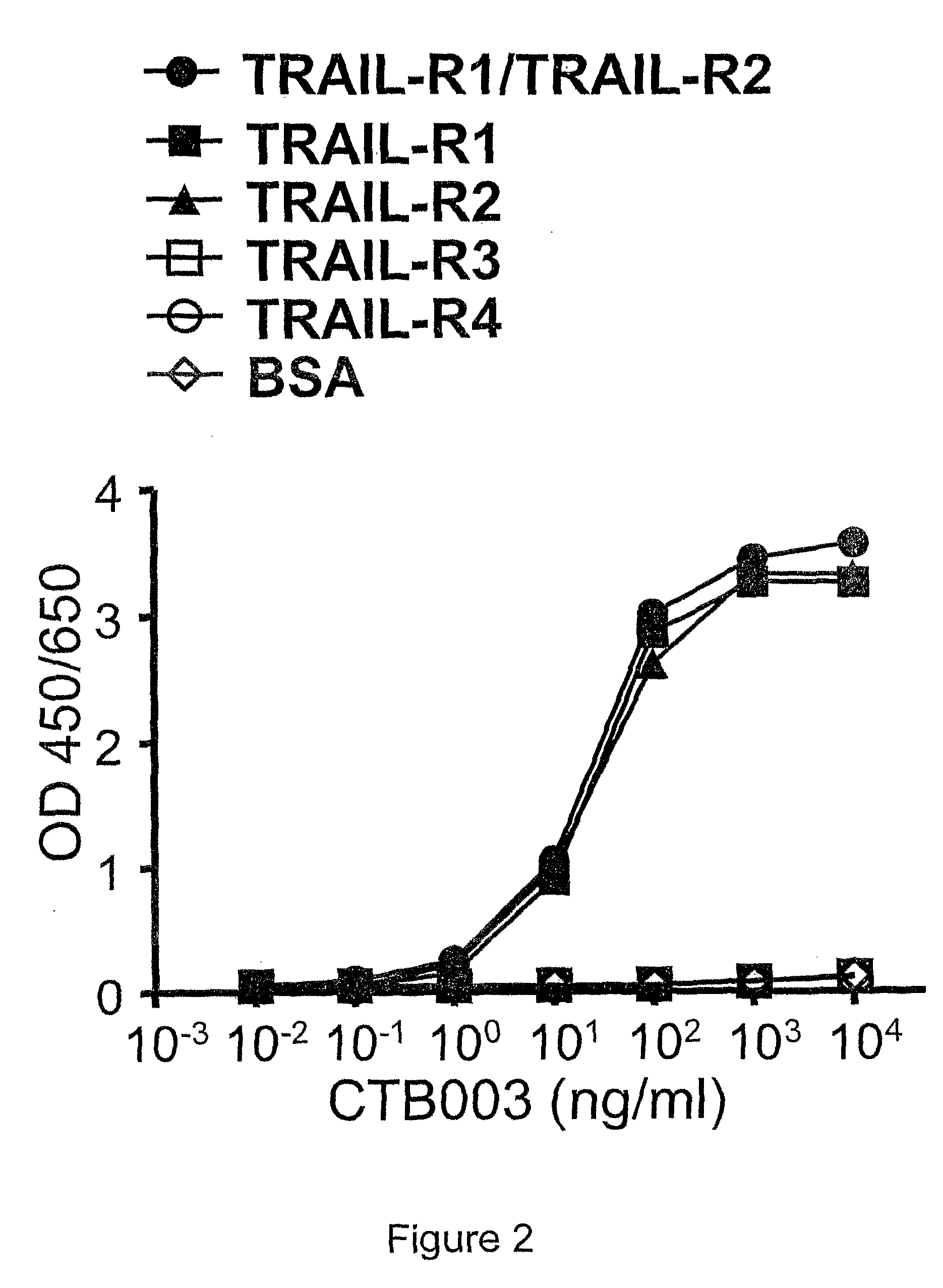 Trail receptor-binding agents and uses of the same