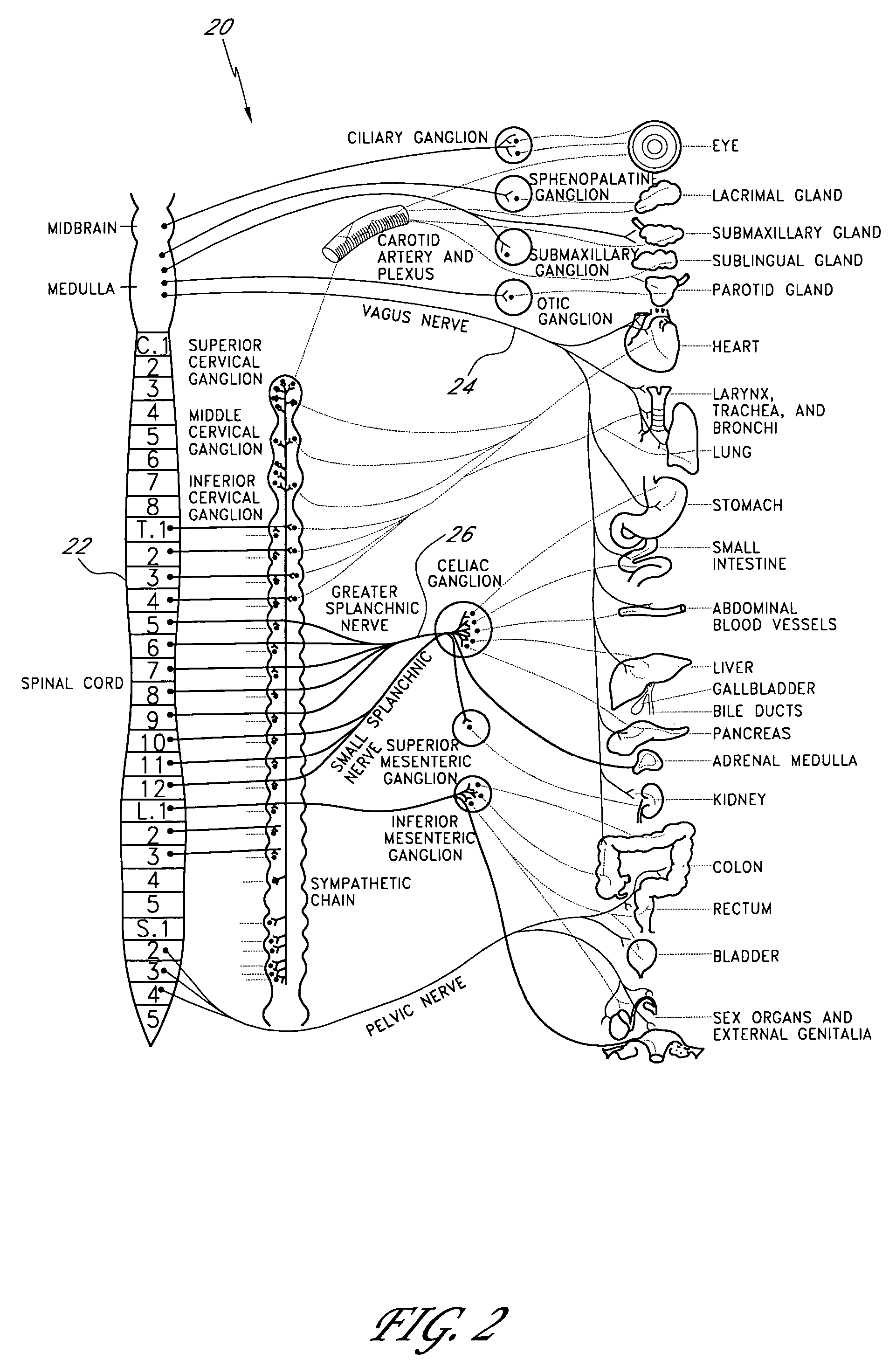 Devices and methods for gynecologic hormone modulation in mammals