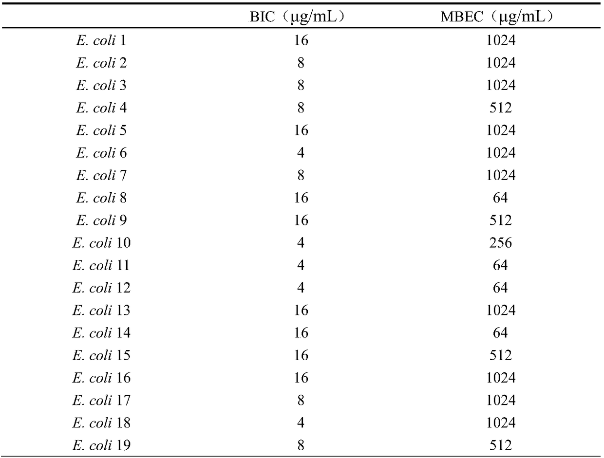 Method for rapidly determining antibiotic resistance of Escherichia coli in biofilm