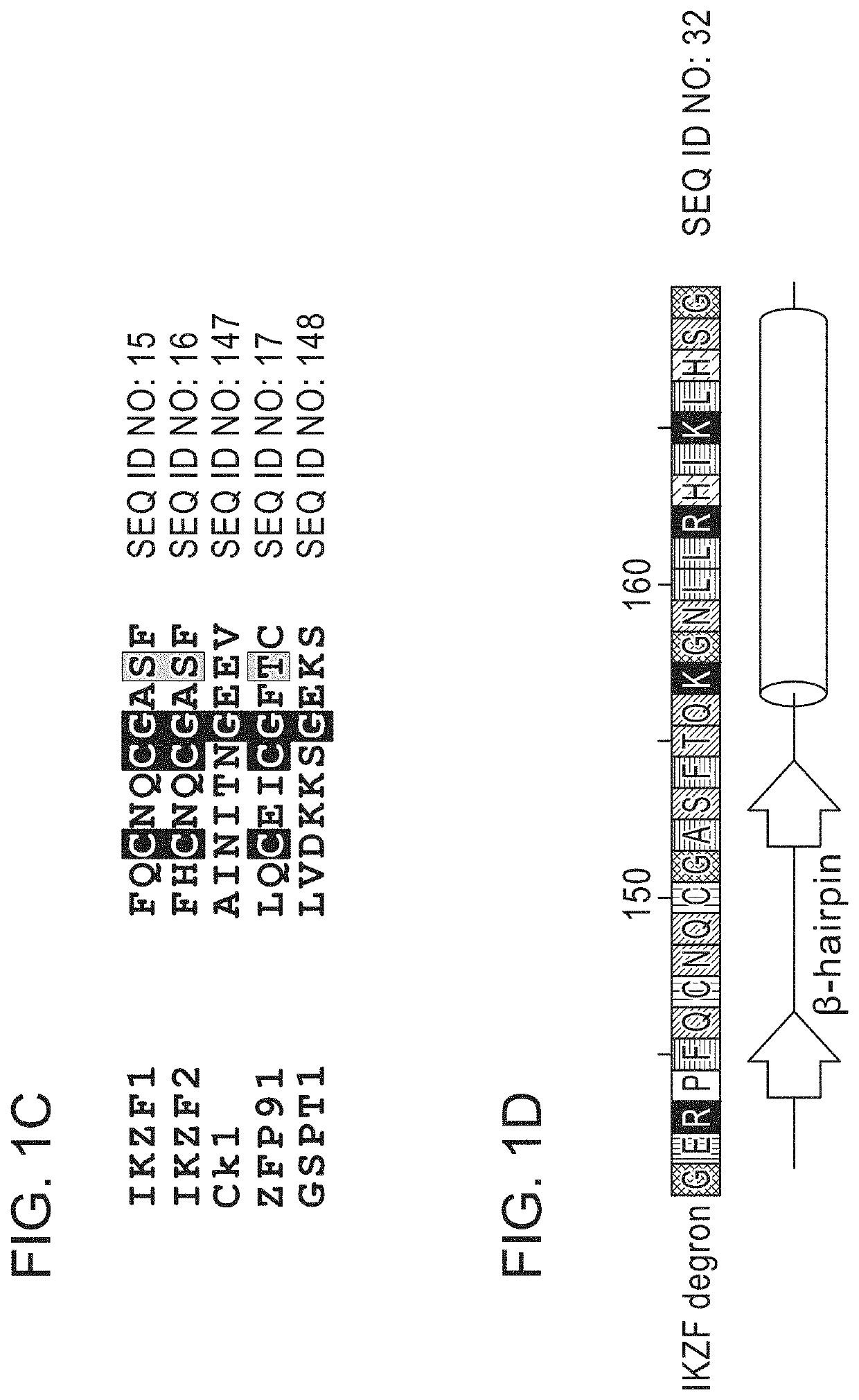 Peptide tags for ligand induced degradation of fusion proteins