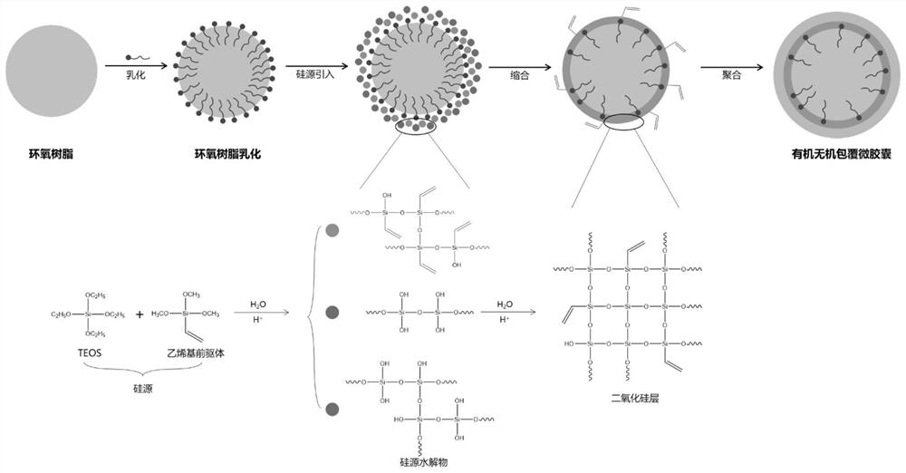 A kind of antibacterial self-healing microcapsule and its preparation method and application in coating