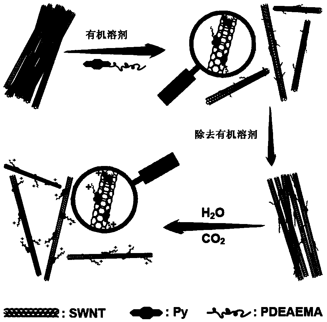 Dispersion method of single-walled carbon nanotube