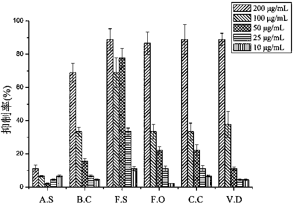 Application of coumarin compound with inhibitory activity on plant pathogenic fungi