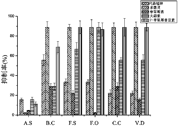 Application of coumarin compound with inhibitory activity on plant pathogenic fungi