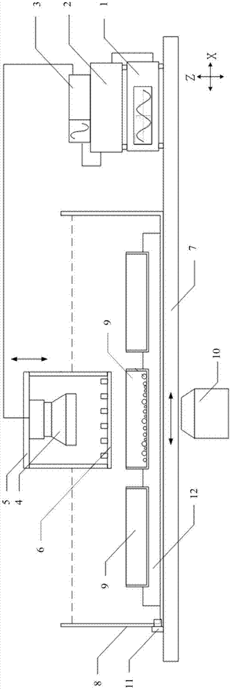 Cell sorting system and method