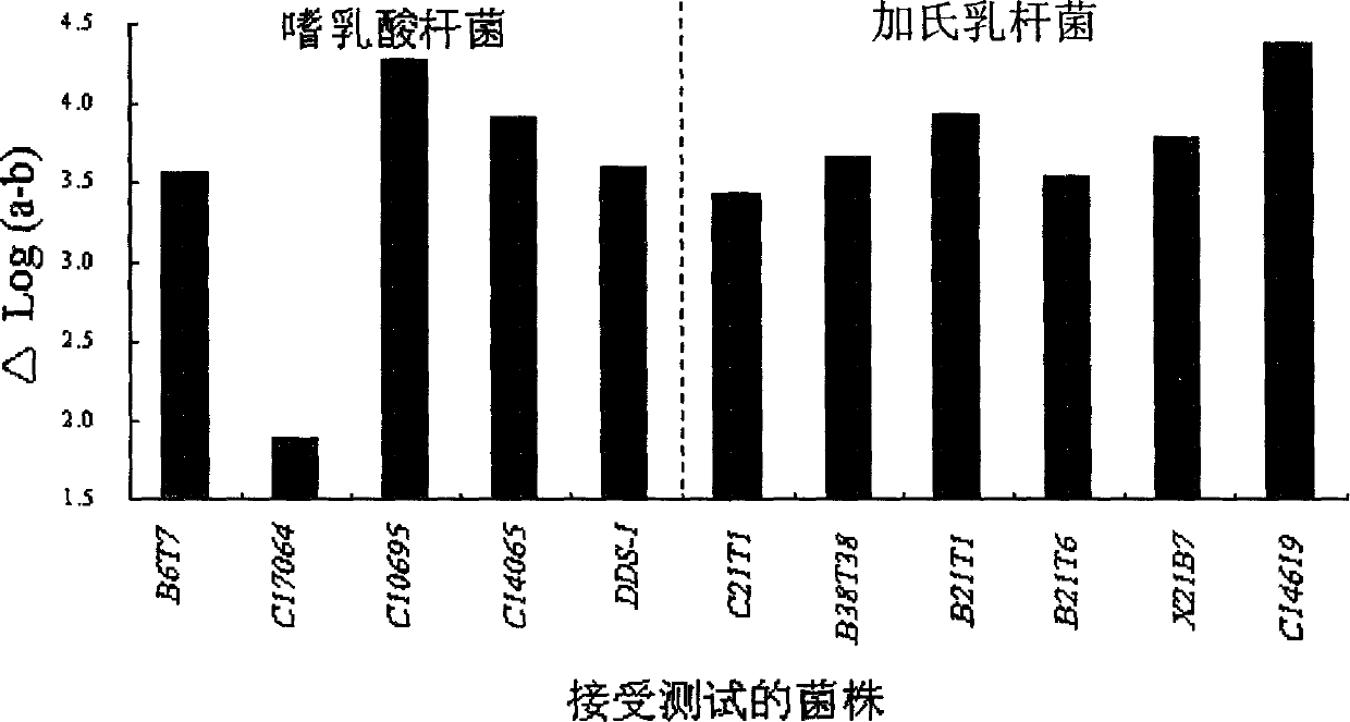 Acid and choline-resistant separated strain of lactobacillus with ability of reducing and assimilating cholesterol