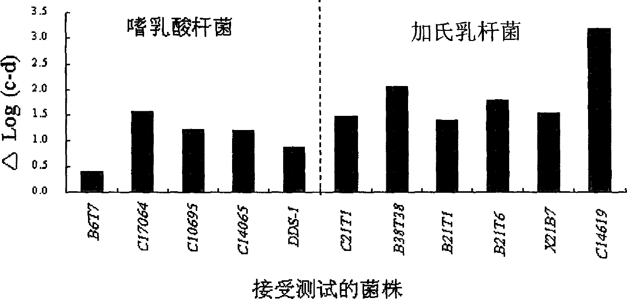 Acid and choline-resistant separated strain of lactobacillus with ability of reducing and assimilating cholesterol