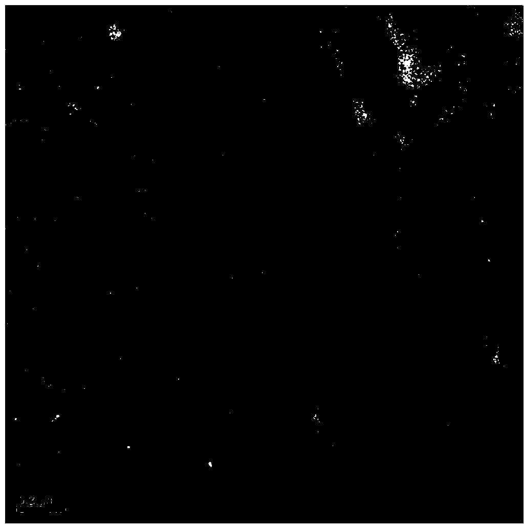 Preparation method of self-assembly polymer material with visible light and pH responsiveness