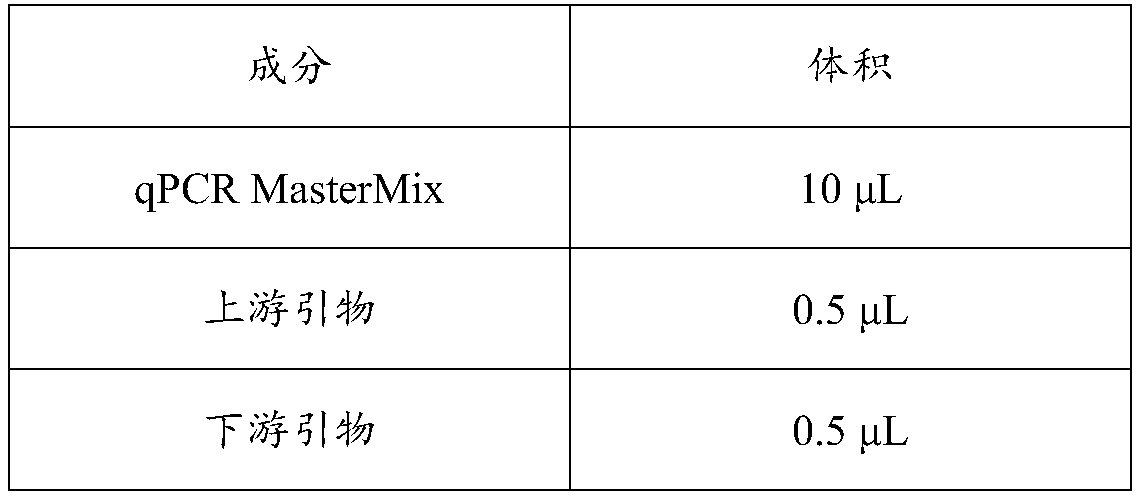 Tacrolimus metabolic gene detection kit and application method thereof