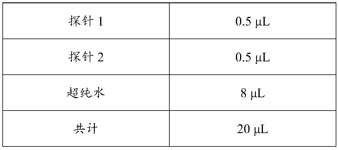 Tacrolimus metabolic gene detection kit and application method thereof