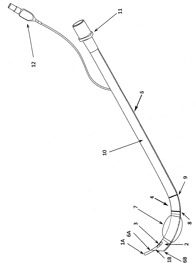 Bougie type tracheal catheter