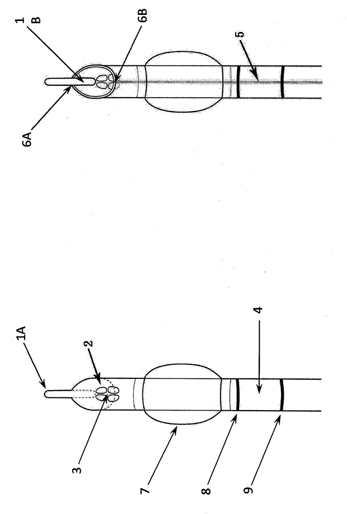 Bougie type tracheal catheter