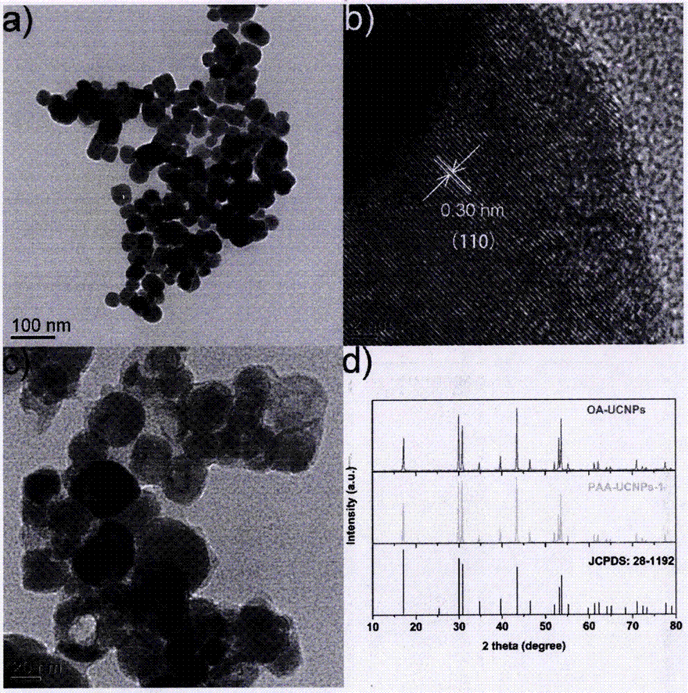 Up-conversion luminescent nano-sensing material for detection of arginine and application thereof in detection of the arginine