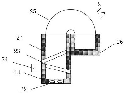 Agricultural seed detection device and detection method