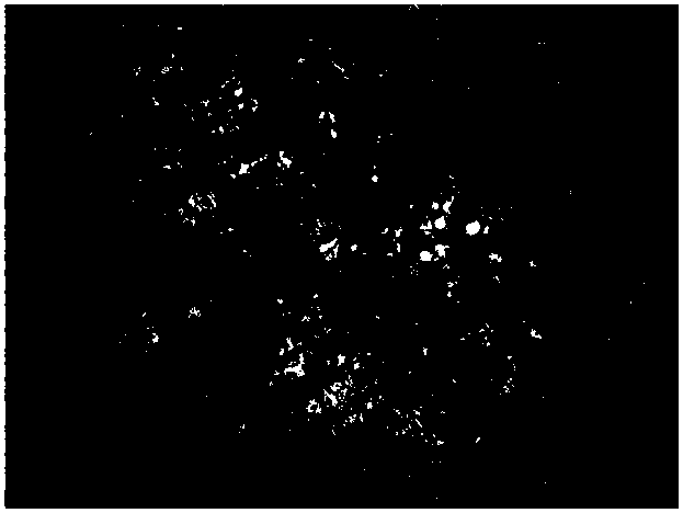 Stirring head for friction stir welding and fabrication method of stirring head