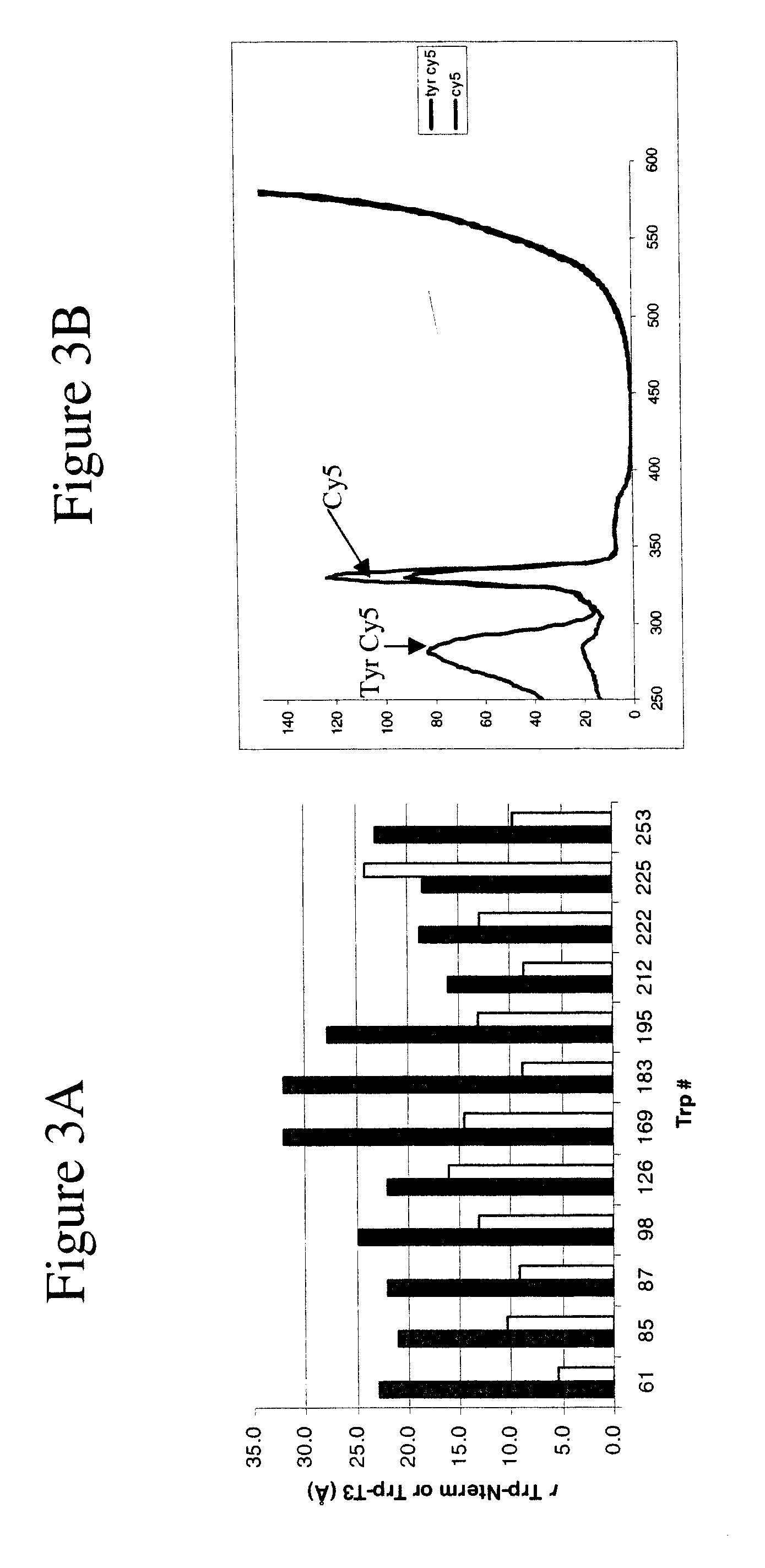 Immobilisation  of fluorescent proteins